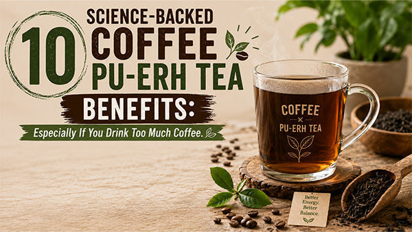 10 Science Backed Coffee Pu-erh Tea Benefits Especially If You Drink Too Much Coffee