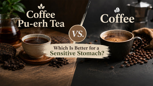 Coffee Pu-erh Tea vs. Coffee: Which Is Better for a Sensitive Stomach